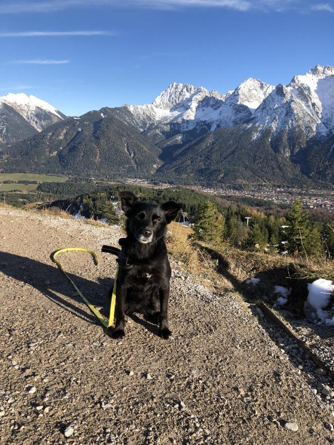 Ferienwohnung Anette Garmisch-Partenkirchen Esterno foto